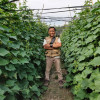 Sumaryanto, Alumni Agribisnis UMY 2007. Bekerja di PT East West Seed Indonesia (EWINDO) Cap Panah Merah. Perusahaan benih sayuran terbesar di Indonesia dan Asia